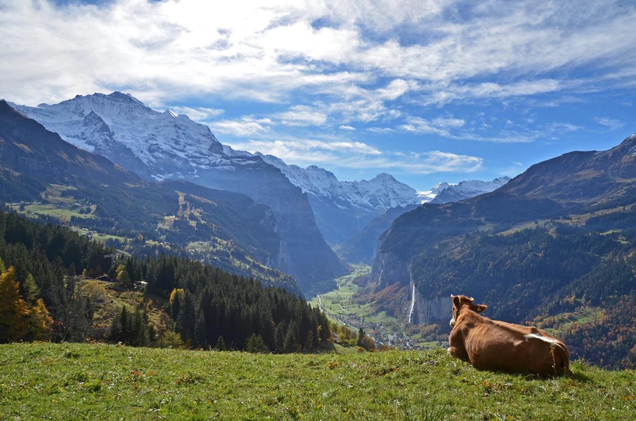 Hotel Victoria Lauberhorn Wengen, A Faern Collection Hotel Εξωτερικό φωτογραφία